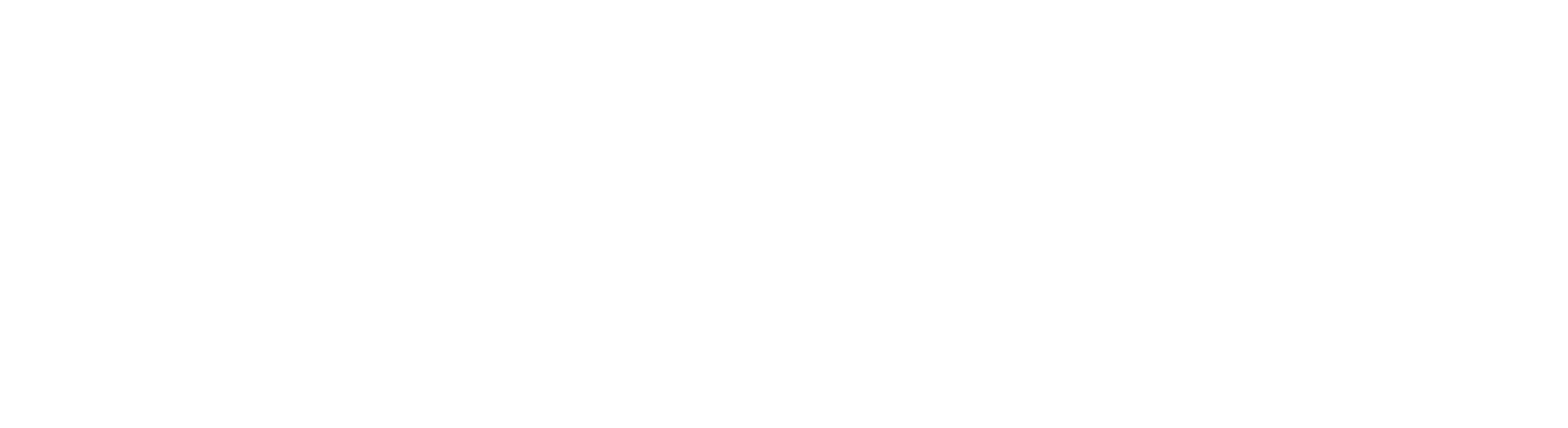 LEO BOYIKA